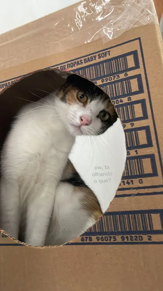 box